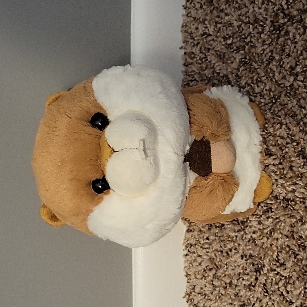 Aurora squirrel plush